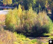 Kootenai River. Photo by LibbyMT.com.