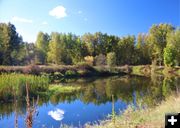 Mill pond. Photo by LibbyMT.com.