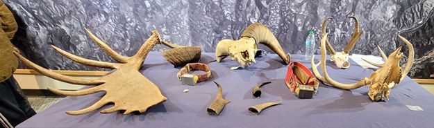 For inspection. Photo by LibbyMT.com.