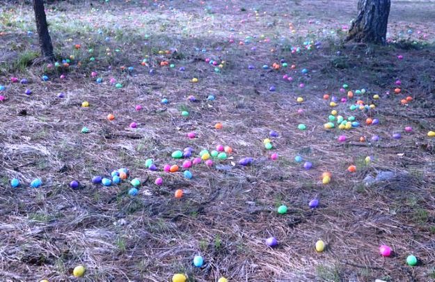 For the kids. Photo by LibbyMT.com.