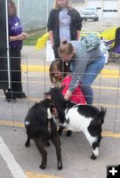 El Rio Ponies (and goats) . Photo by LibbyMT.com.