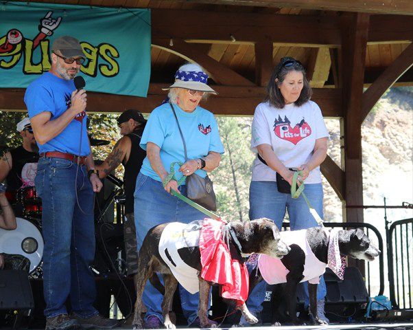 Kootenai Pets for Life dog adoption. Photo by LibbyMT.com.