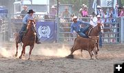 Steer Wrestling. Photo by LibbyMT.com.
