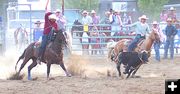 Team Roping. Photo by LibbyMT.com.