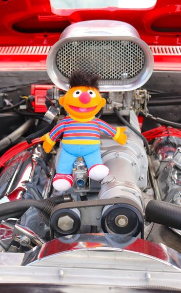 There's Ernie!. Photo by LibbyMT.com.