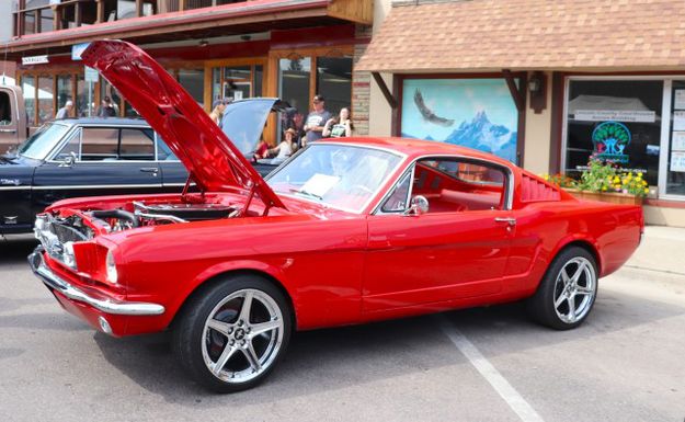 1965 Ford Mustang Fastback 2+2. Photo by LibbyMT.com.