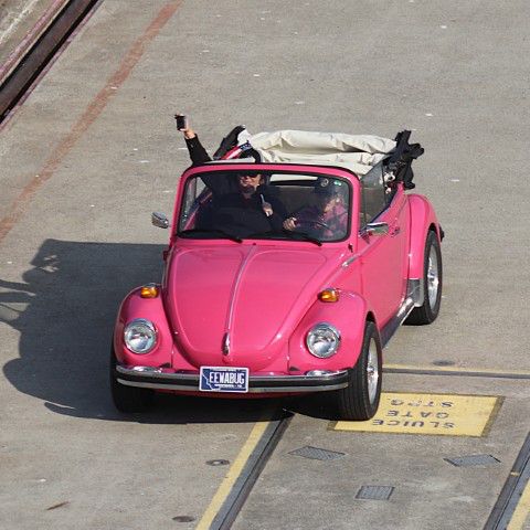 A very pink Bug. Photo by LibbyMT.com.