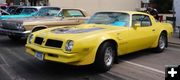 1976 Pontiac Trans Am. Photo by LibbyMT.com.