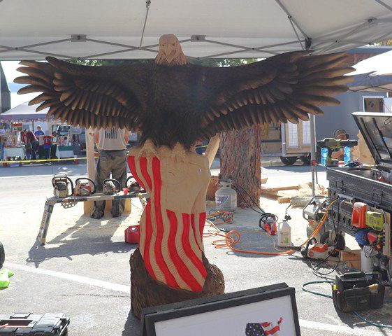 Josh's eagle. Photo by LibbyMT.com.