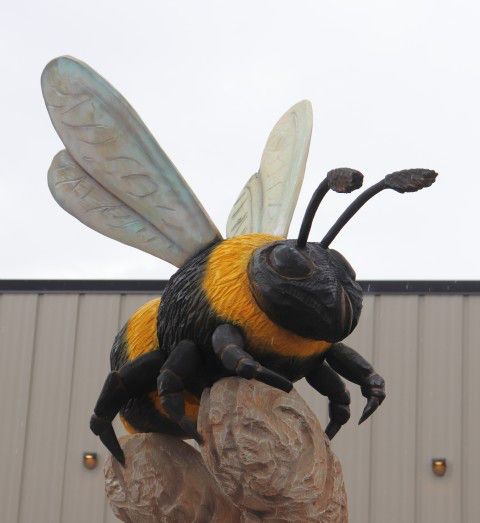 The bee. Photo by LibbyMT.com.