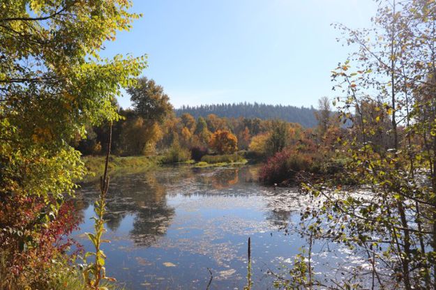 Mill pond. Photo by LibbyMT.com.