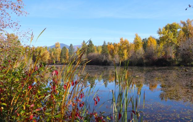 Mill pond. Photo by LibbyMT.com.