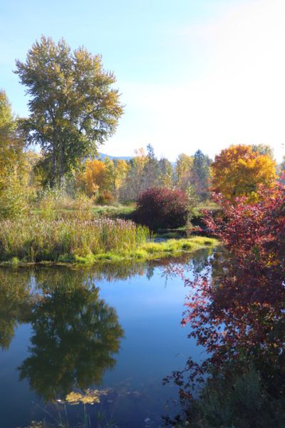 Mill pond. Photo by LibbyMT.com.