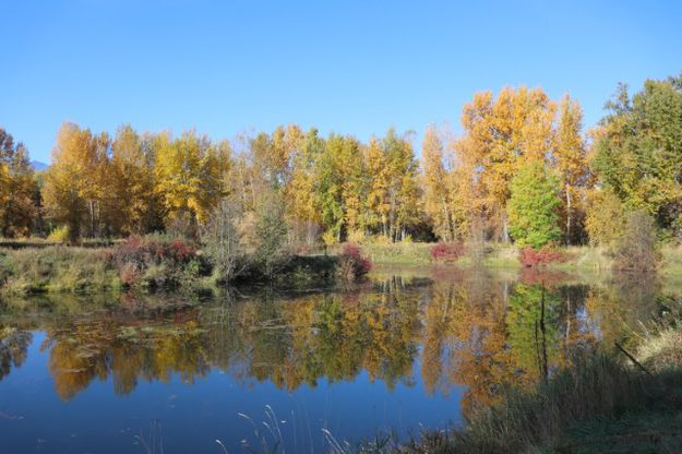 Mill pond. Photo by LibbyMT.com.
