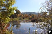 Mill pond. Photo by LibbyMT.com.