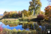 Mill pond. Photo by LibbyMT.com.