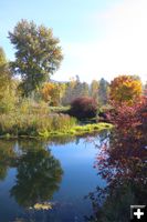 Mill pond. Photo by LibbyMT.com.
