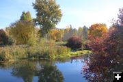 Mill pond. Photo by LibbyMT.com.
