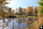 Mill pond. Photo by LibbyMT.com.