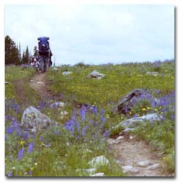 Hiking in the Kootenai Forest