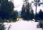 Bear Creek Trail area