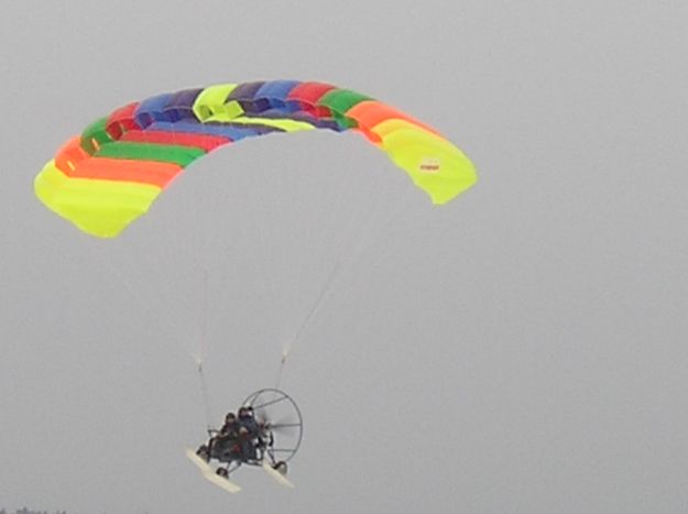 Brilliant Parachute. Photo by LibbyMT.com.