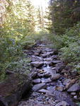 Mountain stream