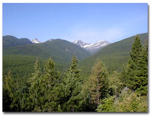 Cabinet mountain view