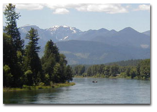 Kootenai River is Blue Ribbon fishing