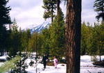 Cross-country skiing is fun for all ages! Bear Creek Ski Trail area.