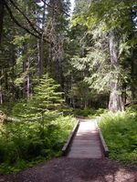 Foot Path Bridge. Photo by LibbyMT.com.