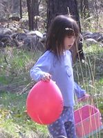 Finding Eggs. Photo by Maggie Craig.