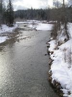 Libby Creek from Bridge. Photo by Maggie Craig.