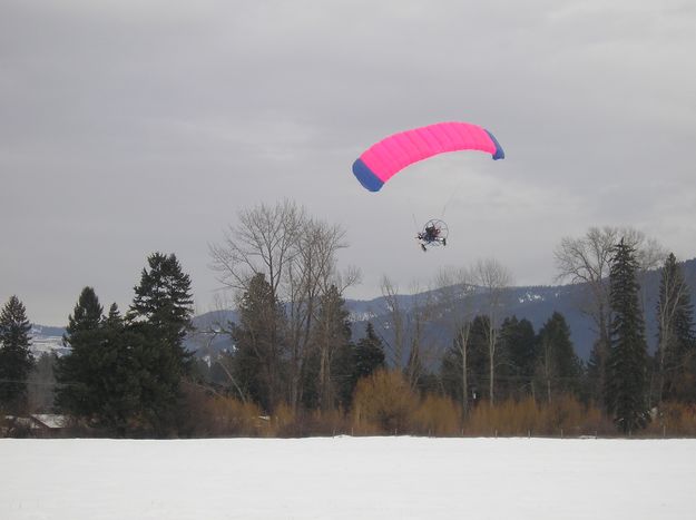 Coming in to land. Photo by LibbyMT.com.