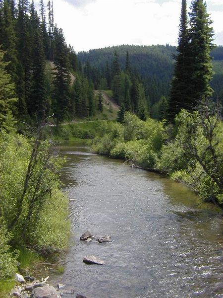 Yaak River. Photo by LibbyMT.com.