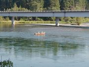 Kootenai Fisher River fishing. Photo by LibbyMT.com.