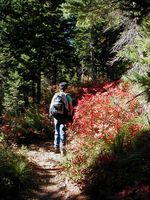 Geiger Lake Trail. Photo by LibbyMT.com.