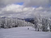 Uncrowded Runs. Photo by Maggie Craig.